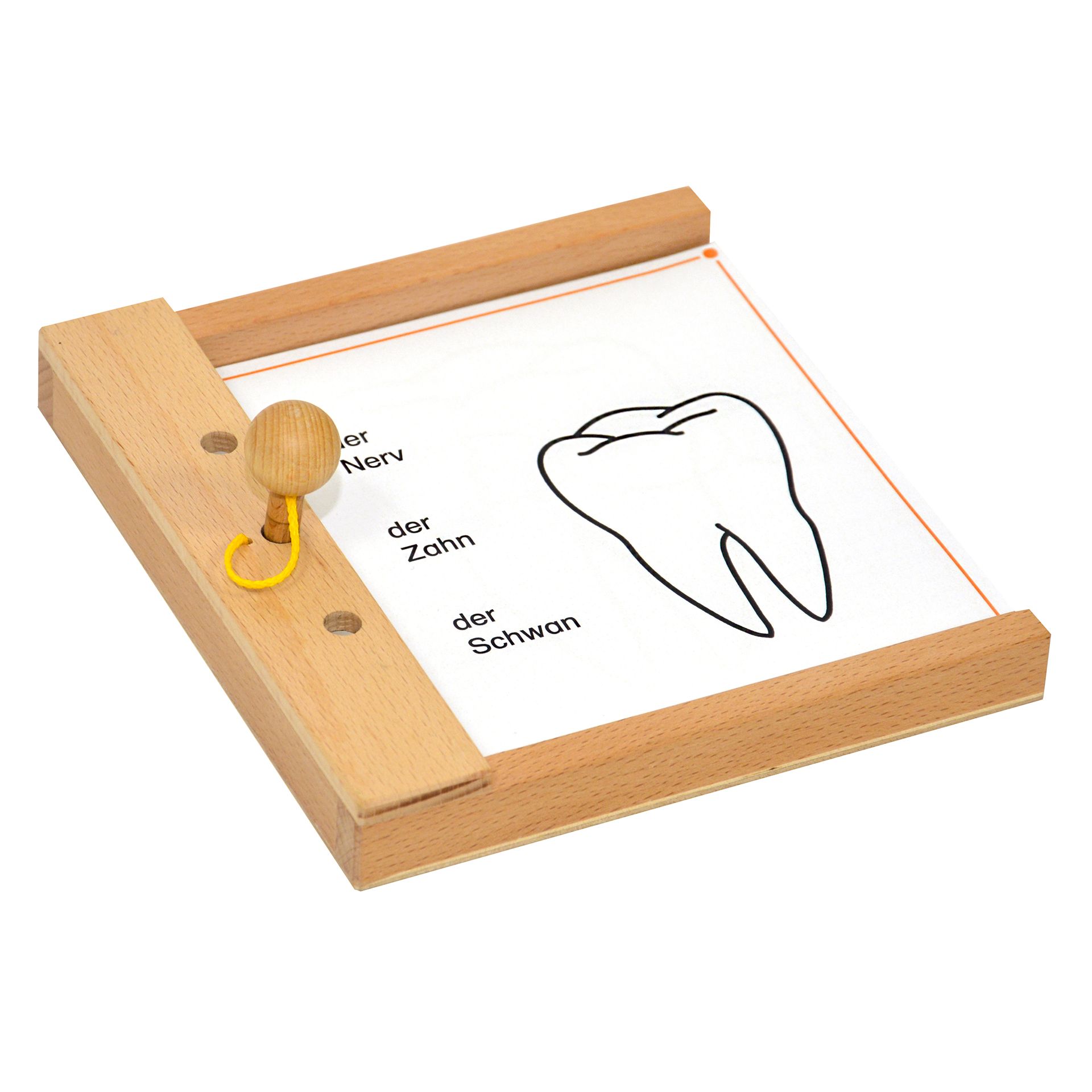Spracherwerb-Set, groß