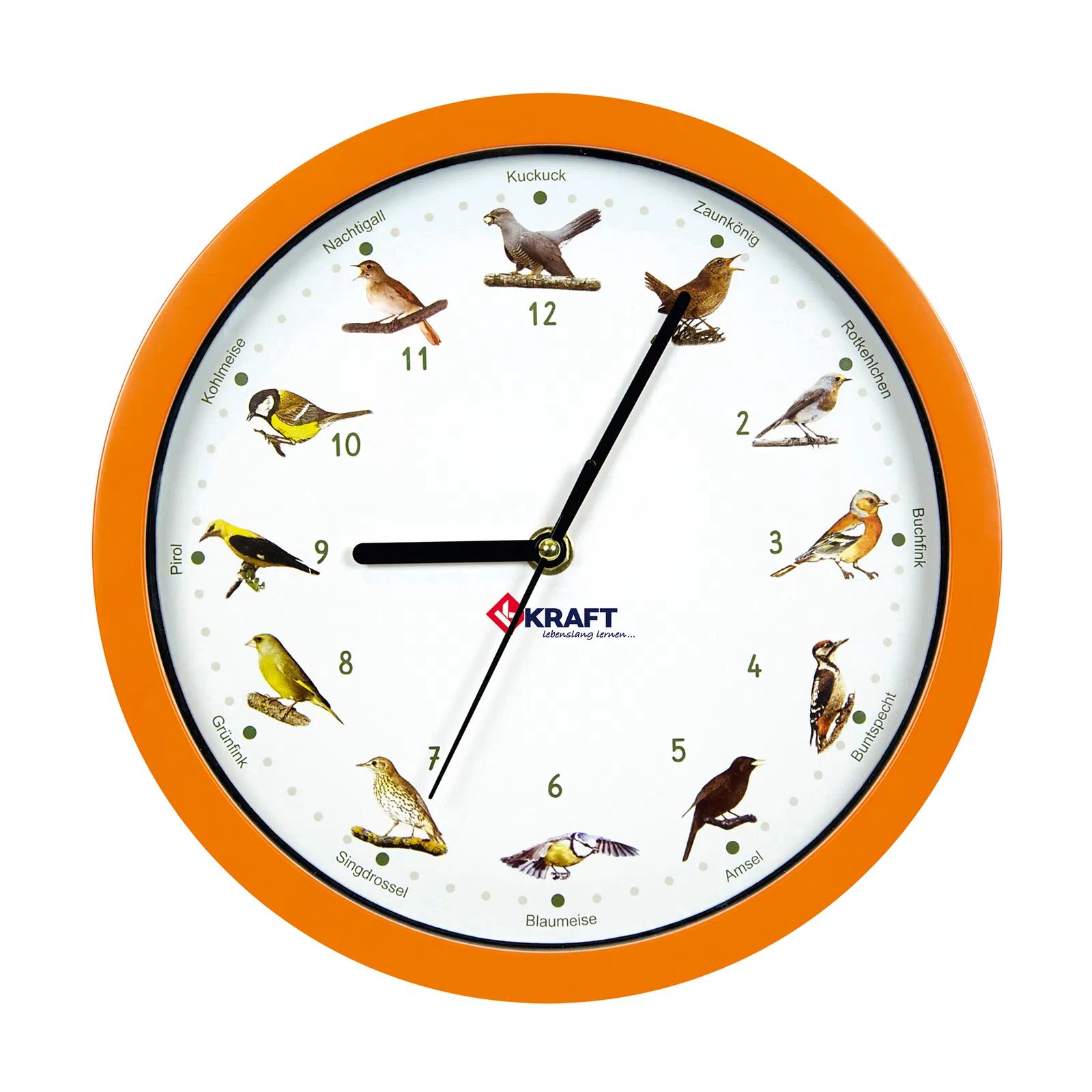 Lampen & Wandgestaltung