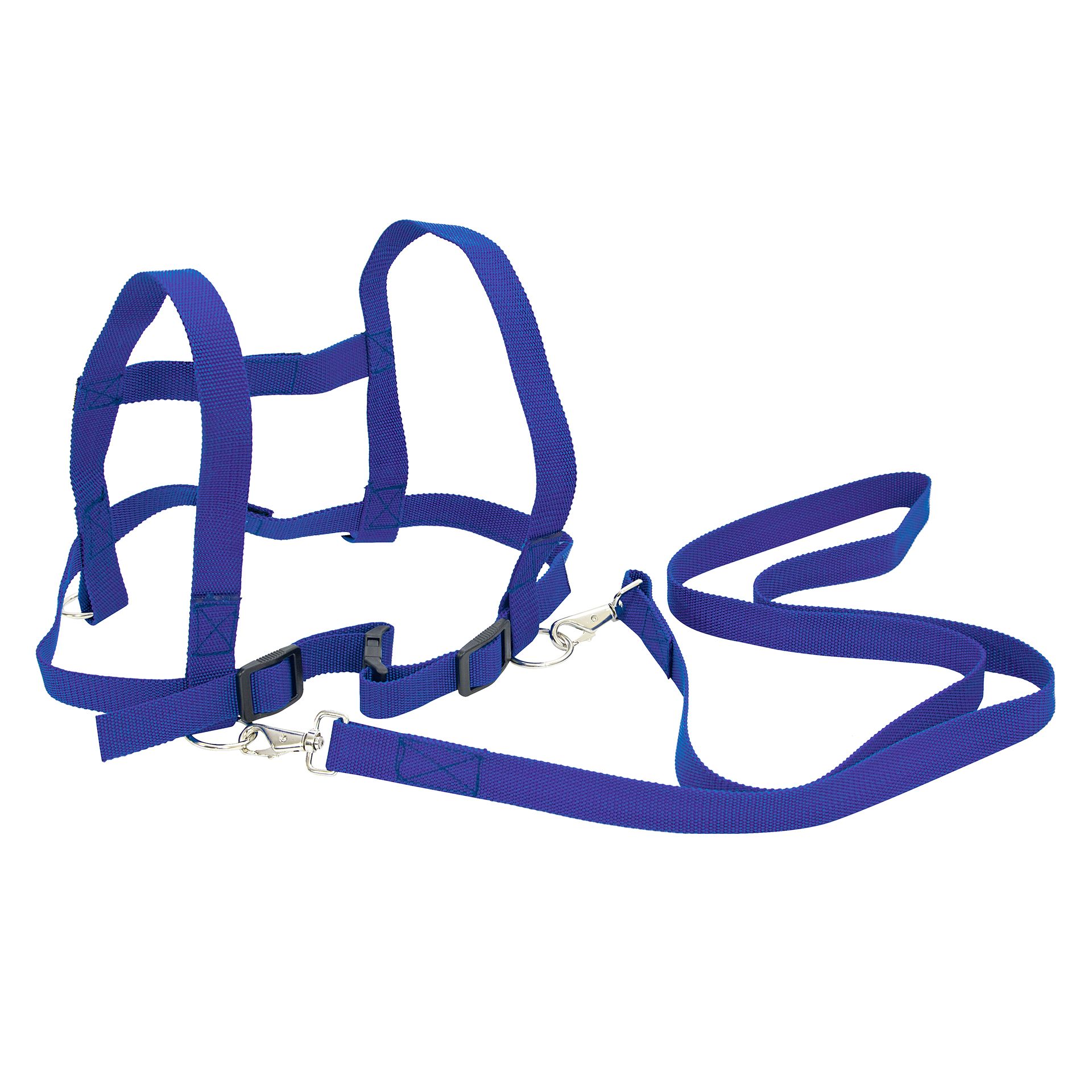 Pferdeleine für Kinder, Blau