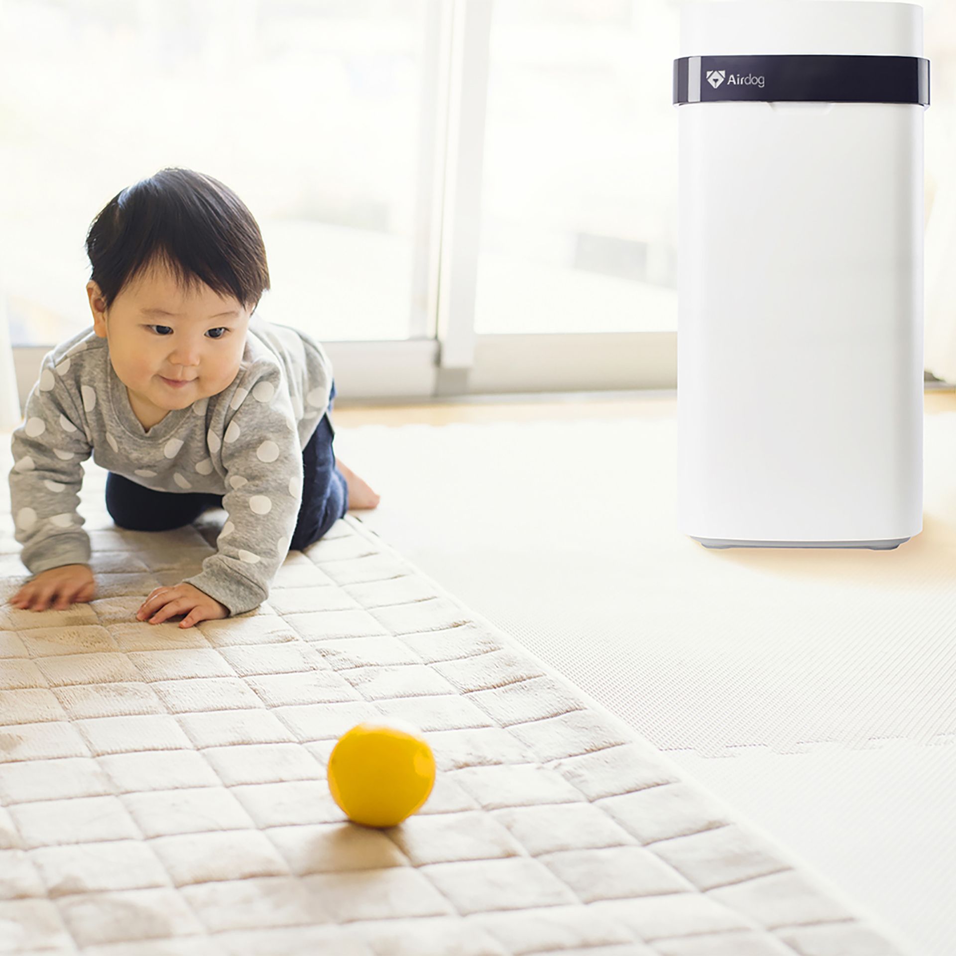 Airdog Luftreiniger X5