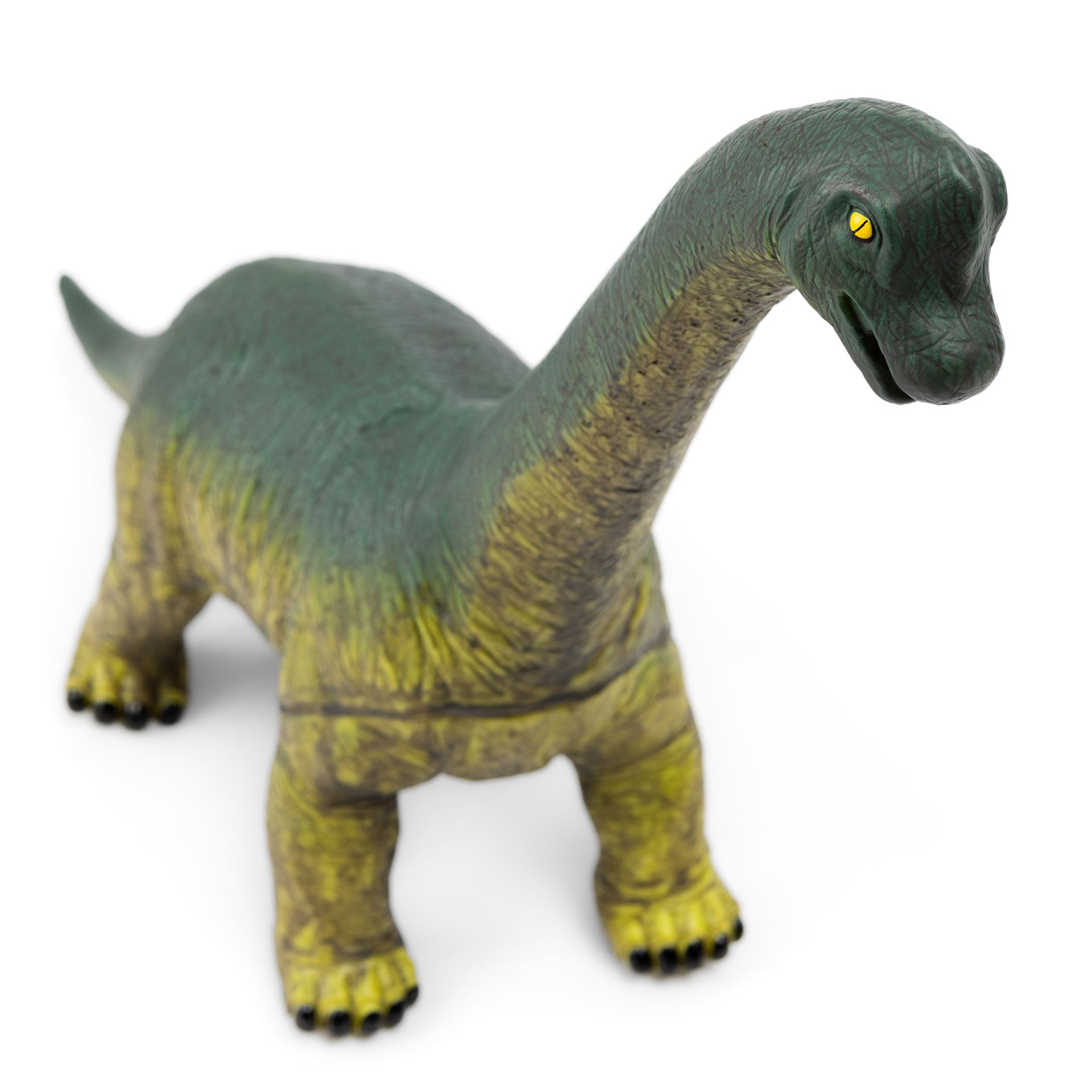 Dinosaurier Brachiosaurus, XL