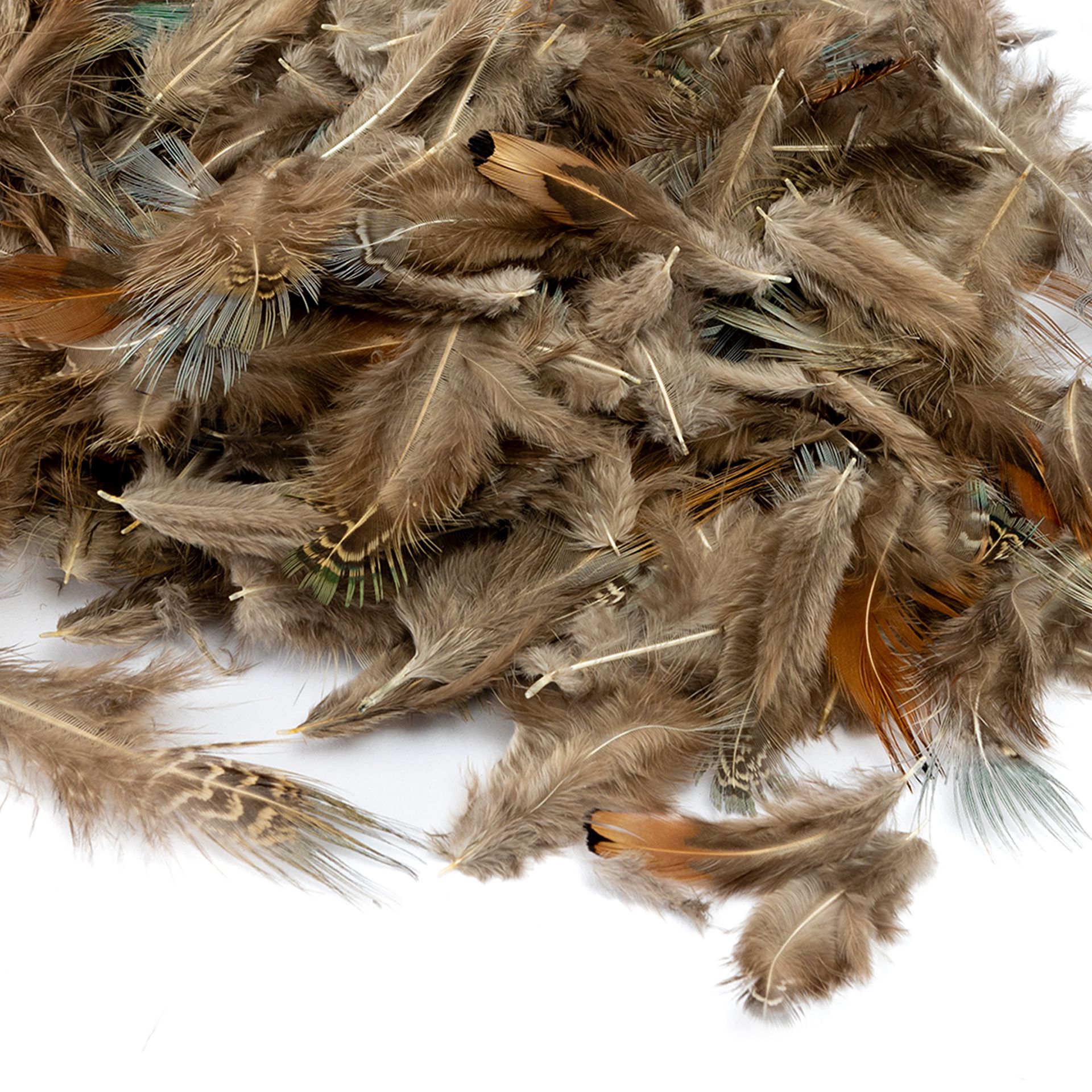 Naturfedern, 3 verschiedene Federtypen, 200er Set