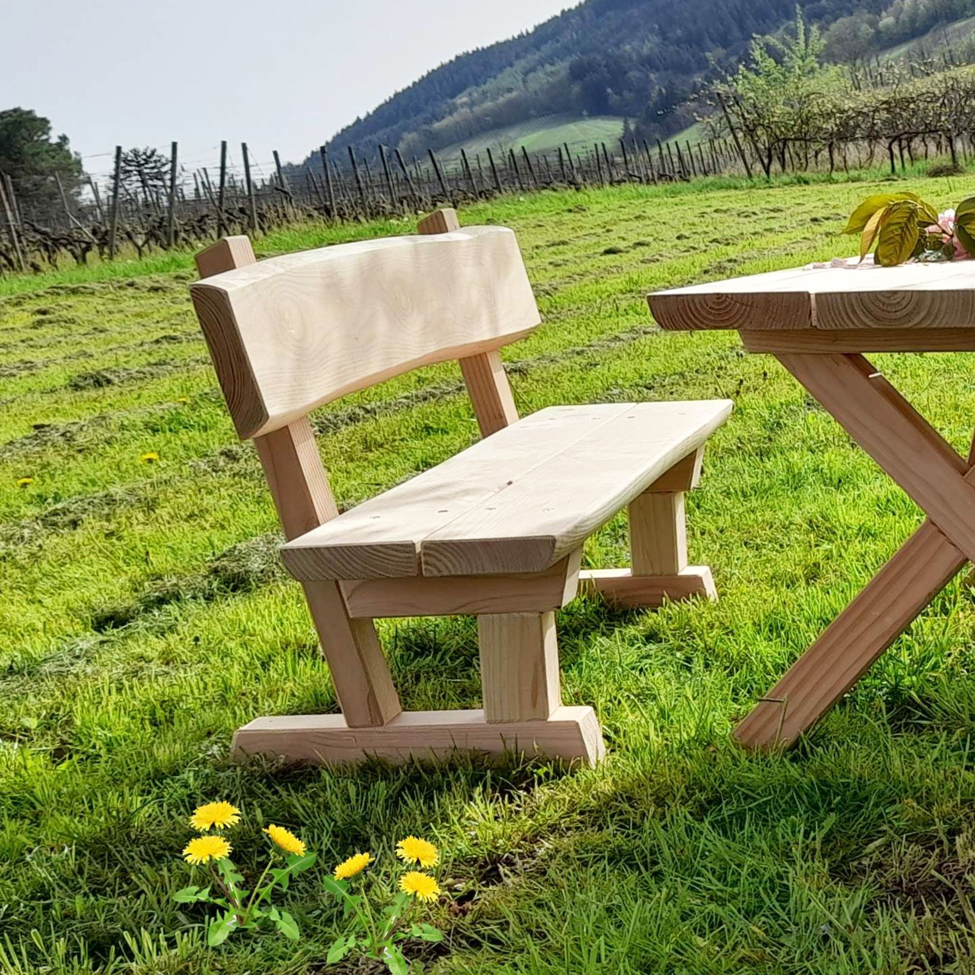 Gartenbank mit Rückenlehne, Holz, Kindergarten